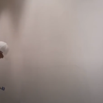 do u add paint to effis mud