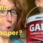 Can You Paint Over Zinsser Gardz