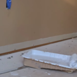 When Can You Skip Primer paint