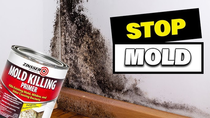 Zinsser Mold Killing Primer
