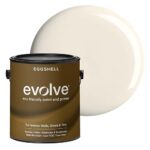 Best Eggshell Paint for Bedroom