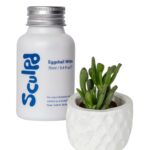 Best White Eggshell Paint for Wood