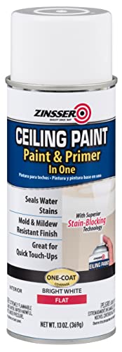 Best Zinsser Primer For Bathroom