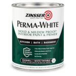 Best Damp Proof Paint for Interior Walls