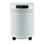 Best Air Purifier For Chemical Fumes