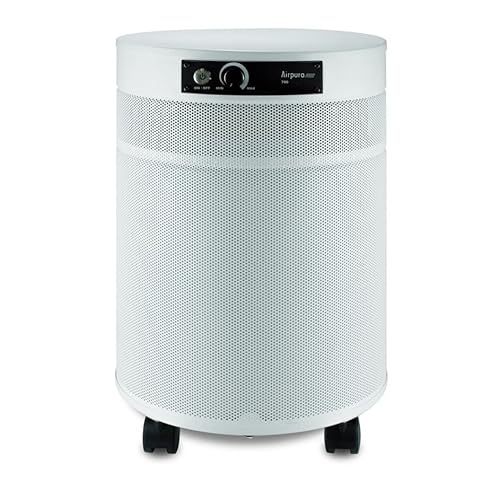 Best Air Purifier For Chemical Fumes