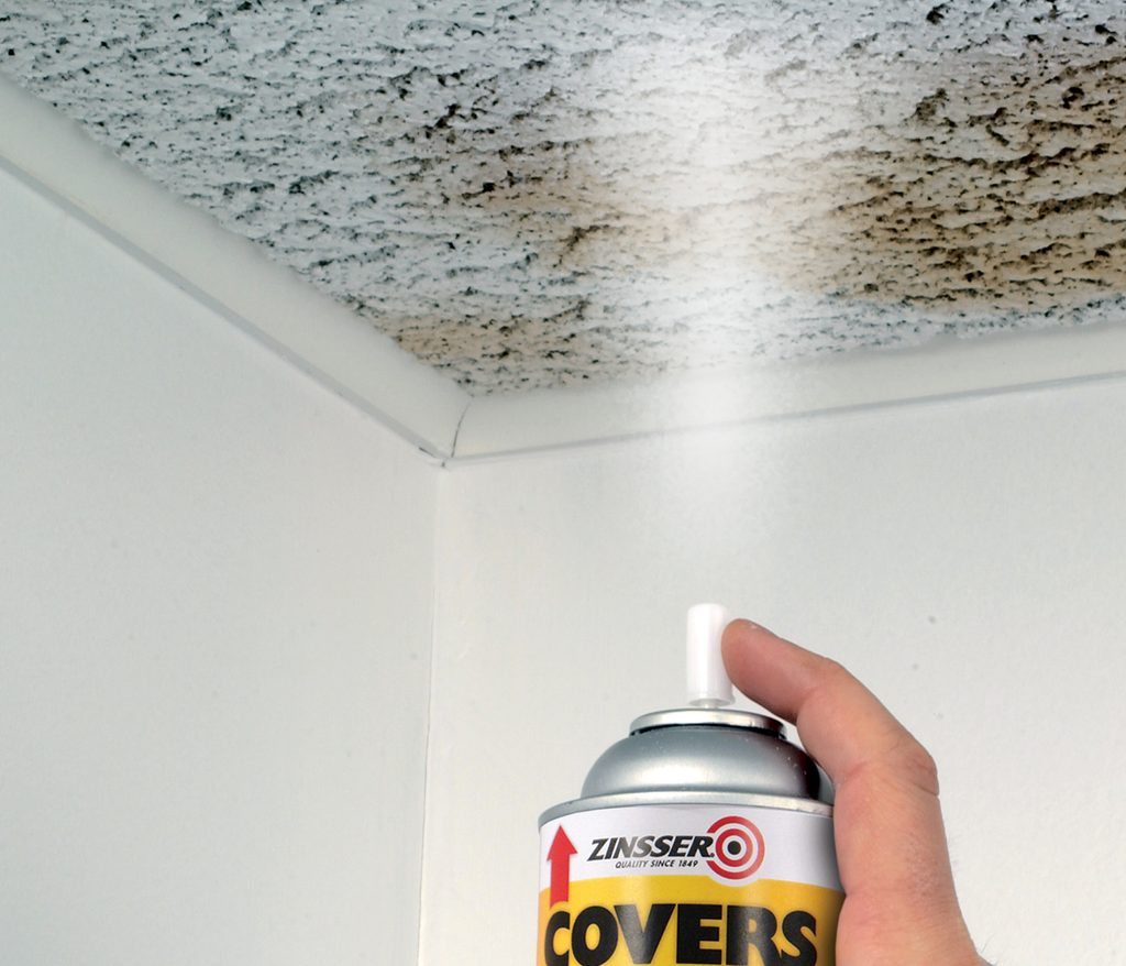 Best Paint for Ceiling Cracks