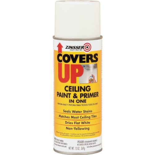 best paint for bathroom ceiling
