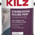 Best Paint to Cover Water Stains on Ceiling