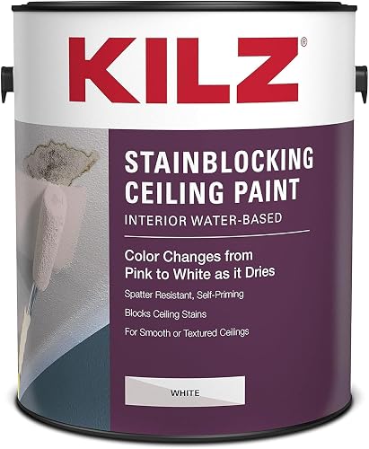 Best Paint to Cover Water Stains on Ceiling