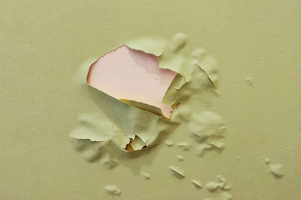 Paint Peeling After Painting