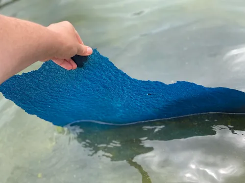 Paint Peeling Off in Sheets