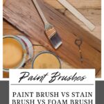 Stain Brush Vs Paint Brush